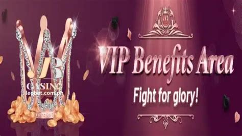 www leobet ivp|SPORTS .